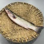 ফ্রেশ ভাঙ্গন মাছ – কেমিক্যাল ফ্রি Nohor Agro